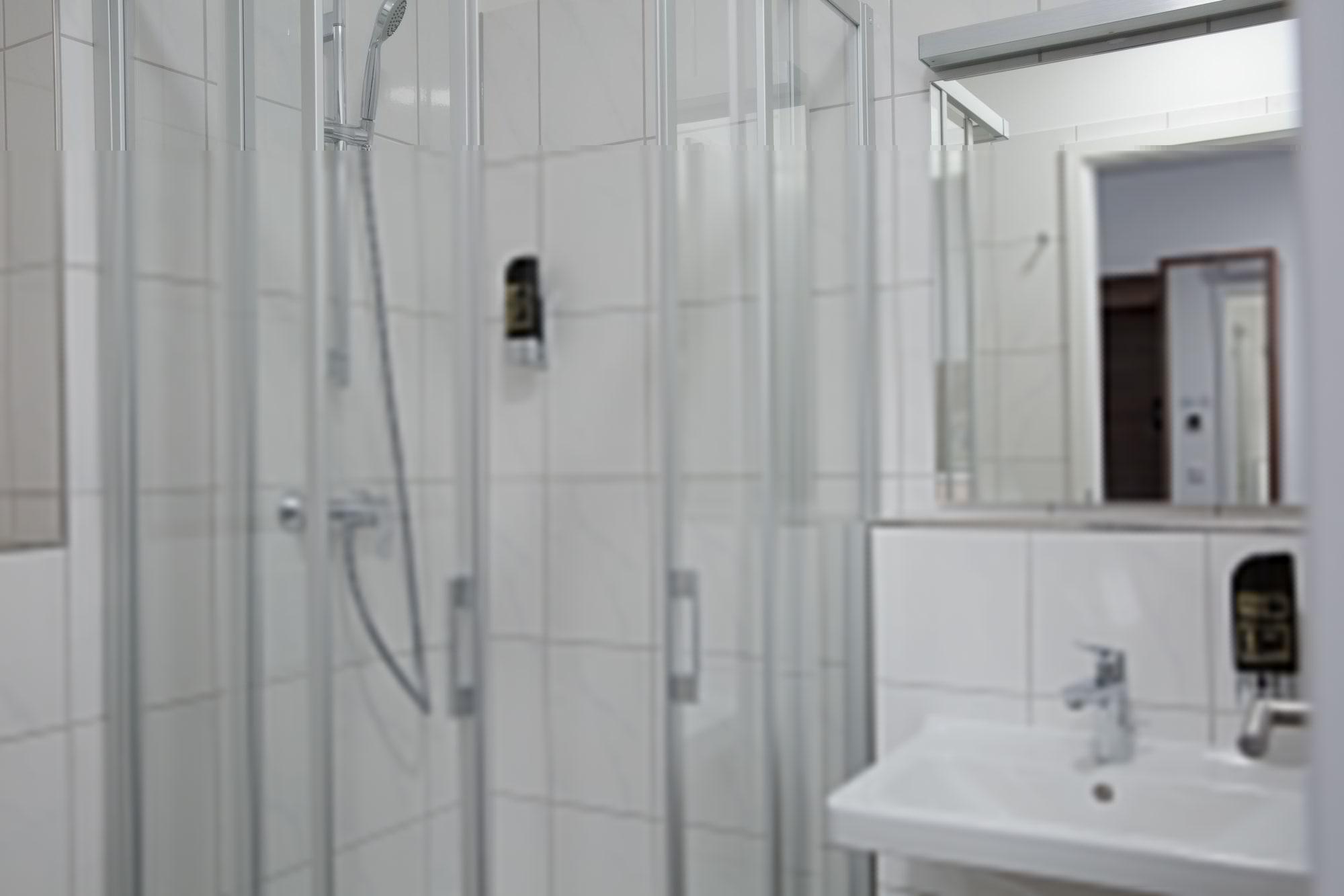 Goethe Messe By Trip 3*